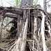 Река Велеса в тверской области на майские праздники